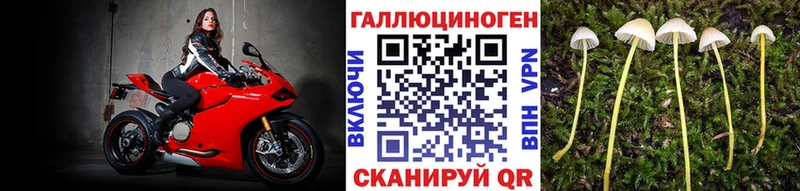 mega ССЫЛКА  маркетплейс как зайти  Галлюциногенные грибы Cubensis  купить   Электросталь 
